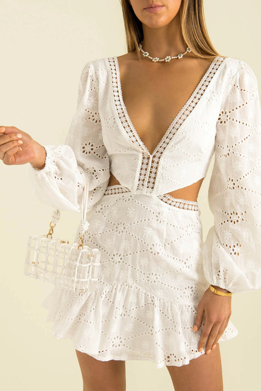 Lace V-Neck Dress with Eyelet Embroidery