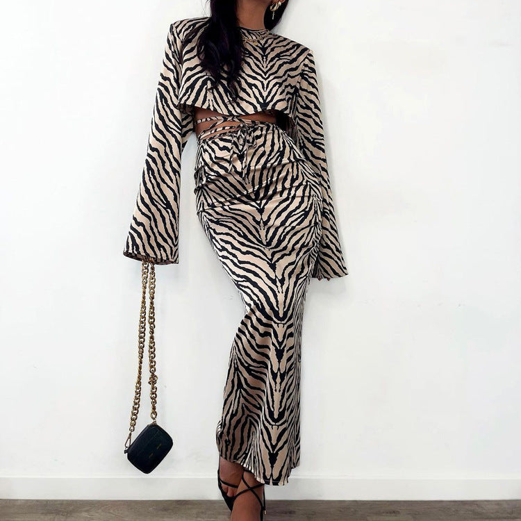 Two Piece Skirt Set Zebra Print